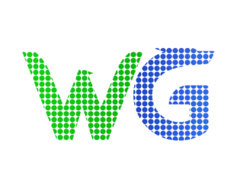 WG游戏平台App图标